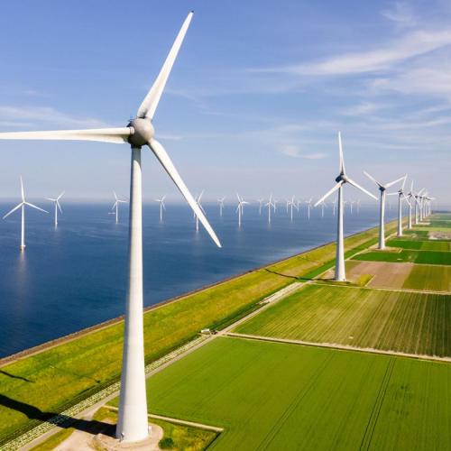 Wind Energy Plants (WPPs)